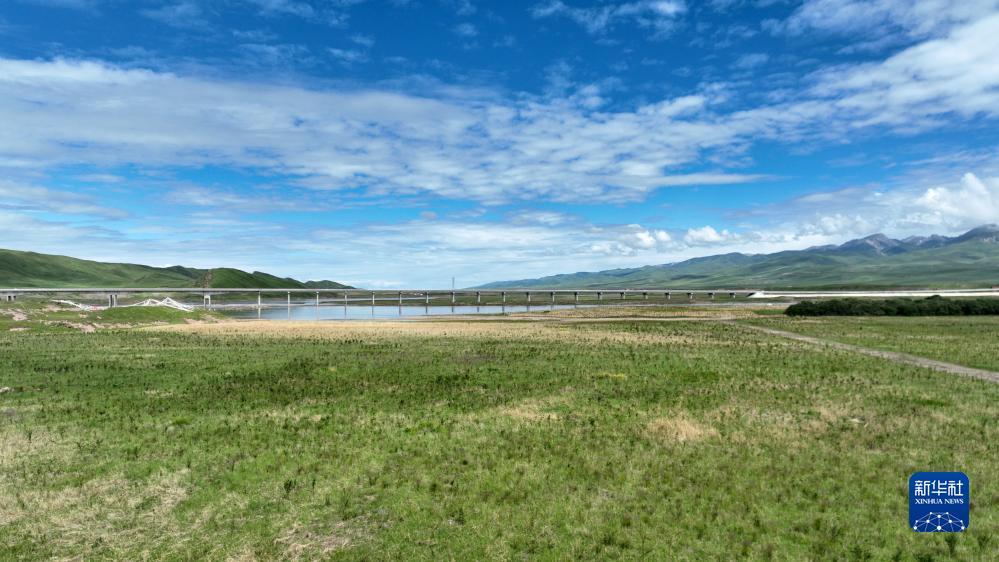 集结号首加微信送分